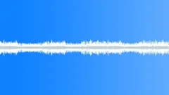 Crickets suburban night ambience 01 loop Sound Effect