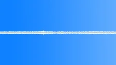 Crickets suburban night ambience 02 loop Sound Effect