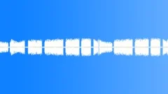 Crickets summer #1 Sound Effect
