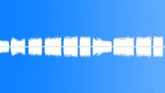 Crickets summer #2 Sound Effect