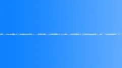 Crickets summer birds #1 Sound Effect