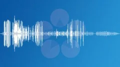 Crickets - tropical atmosphereSound Effect