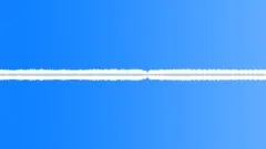 Crickets,Constant,Chirpy Sound Effect