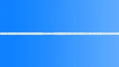 Crickets,Constant,Generic Sound Effect