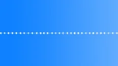 Crickets,Night,Chirp,Single 1Sound Effect