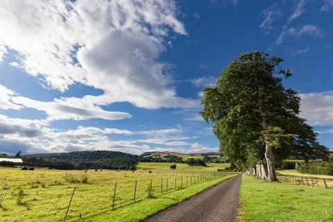 Crieff Fields Foto stock