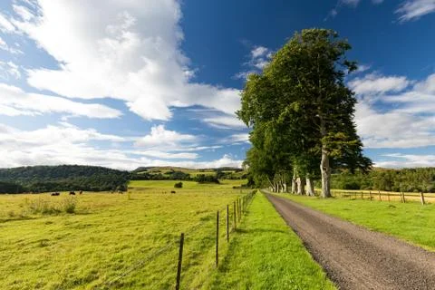 Crieff Fields Stock Photos