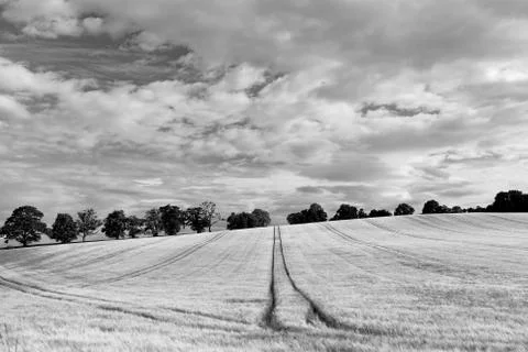 Crieff Fields Stock Photos