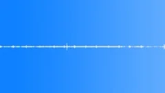 Cries of a bird of prey at the dawn in the pine forest Sound Effect