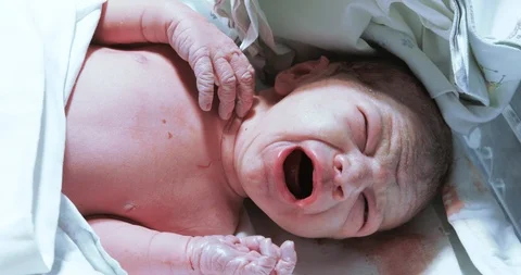 Cries of the newborn child Stock Footage 102107680