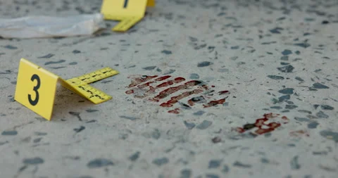 Crime, scene and marking with number for blood footprint, DNA or forensic sample Vídeos de archivo 279873642