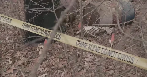 Crime Scene Barrels 06 Video stock 168097979