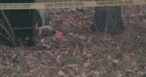 Crime Scene Barrels 16 Stock Footage 168098100