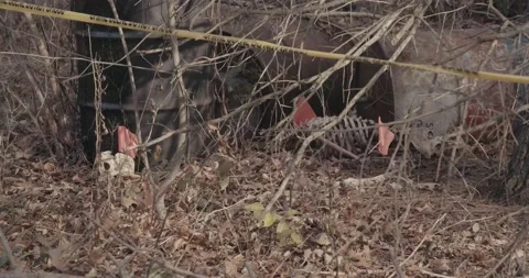 Crime Scene Barrels 20 Stock Footage 168098203