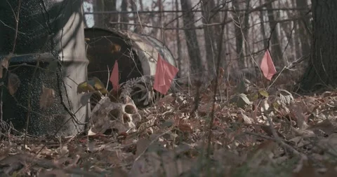 Crime Scene Barrels 24 Stock Footage 168098314
