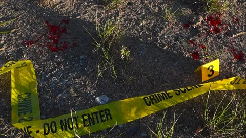 Crime scene cold case, blood spatter, markers on dirt ground. Stock Footage 318225428