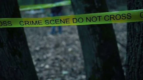 Crime scene do not cross yellow tape in the woods, police investigation, murder Stock Footage