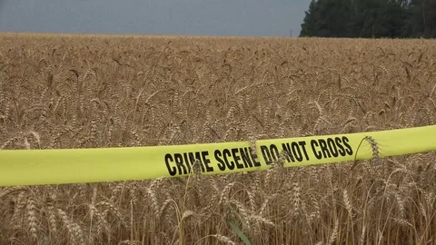 Crime Scene Do Not Cross 2 Stock Footage 96196831