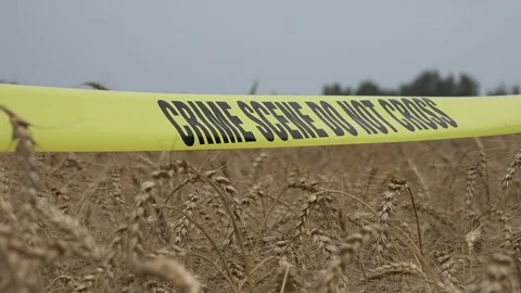 Crime Scene Do Not Cross 4 Stock Footage 96196842