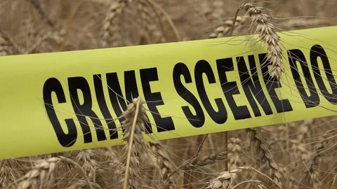 Crime Scene Do Not Cross 3 Stock Footage 96196844