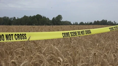 Crime Scene Do Not Cross 5 Stock Footage 96196850