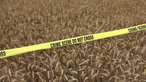 Crime Scene Do Not Cross 7 動画素材 96196856
