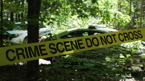 Crime scene do not cross yellow tape in a wooded area with police cars Stock Footage 274516977