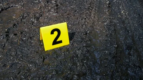 Crime scene evidence marker indicating muddy tire tracks Stock Footage 339417768