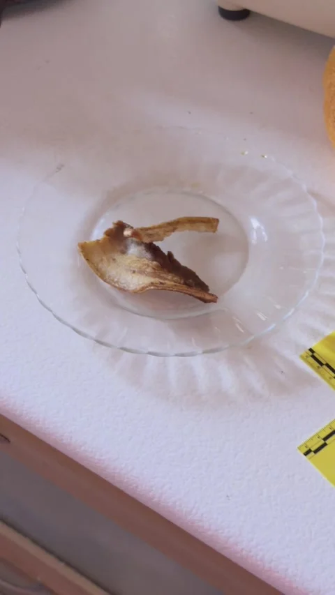 Crime scene evidence of a pork rind in a kitchen Video stock 330574191