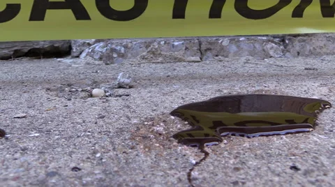 Crime Scene Video stock 52402084