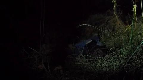Crime scene Stock Footage 69834562