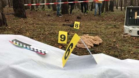 Crime scene in the forest Stock-Footage 112542981