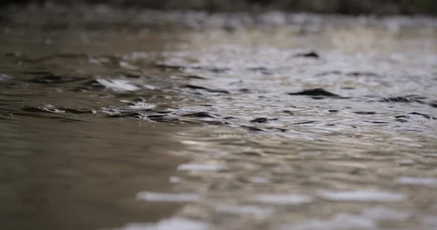 Crime Scene LA River Water Rushing 07 Stock Footage 90876776
