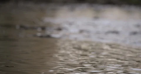 Crime Scene LA River Water Rushing 08 Stock Footage 90876785