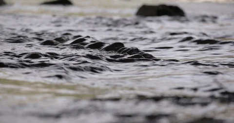 Crime Scene LA River Water Rushing 09 Stock Footage 90876791