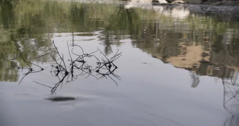 Crime Scene LA River Water Wide Shot Stock Footage 90876841