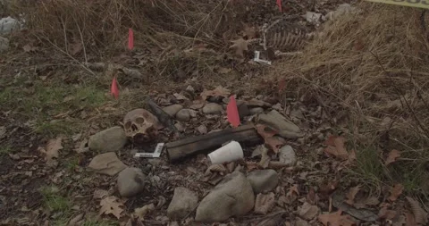 Crime scene swamp 01.02 Video stock 167805076