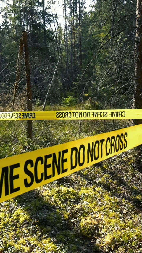 Crime Scene Tape Blocking Access to a Sunny Forest Area Vídeos de archivo 336600395