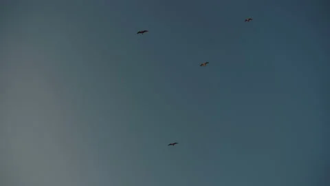 Crimea 05 Stock Footage 161560095