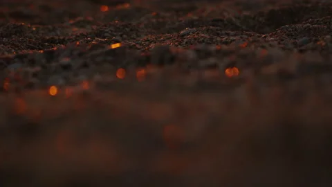 Crimea 06 Stock Footage 161560471