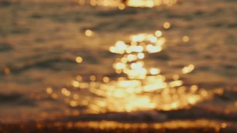 Crimea 12 Stock Footage 161567983