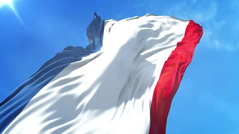 Crimea Flag Low Angle View Stock Footage 295688720