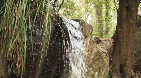CRIMEA. JANUARY 2011: Forest. close view of the small stream Stock Footage 49733014