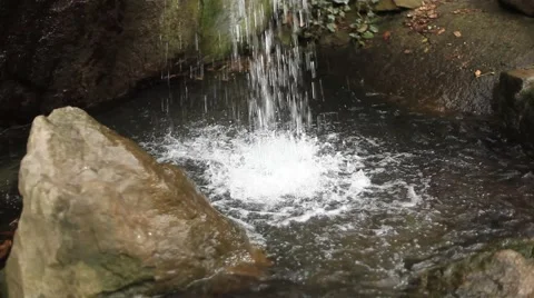 CRIMEA. JANUARY 2011: Forest. close view of the small stream Stock Footage 49733032