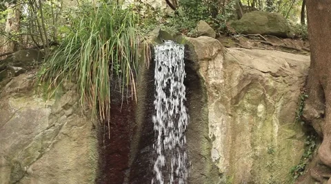 CRIMEA. JANUARY 2011: Forest. close view of the small stream Stock Footage 49733053