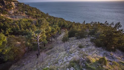 Crimea landscape. Nature background Video stock 71642298