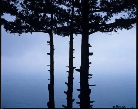 Crimea Stock Photos