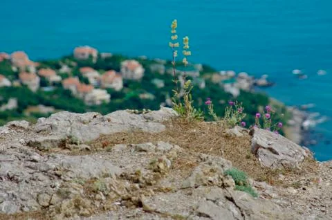 Crimea Stock Photos