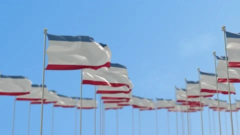 Crimea Row Of Flags 3D Animation Stock Footage 148651055