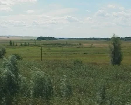 Crimea. Summer. The view from the train window Stock Footage 10900940